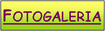 Pole tekstowe: Fotogaleria