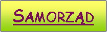 Pole tekstowe: Samorząd